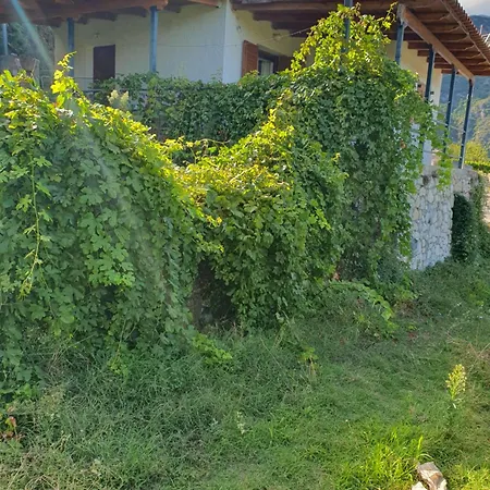 Village Nyaraló *