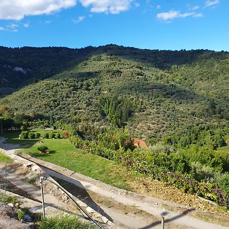 Nyaraló Village Trípi